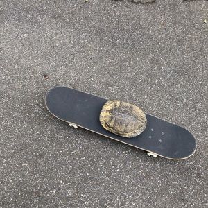 Meet your Posher, Colin